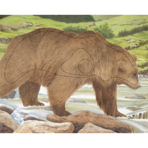 JVD Target Face Animal Bear