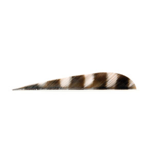 Trueflight Feathers 4" Parabolic Barred