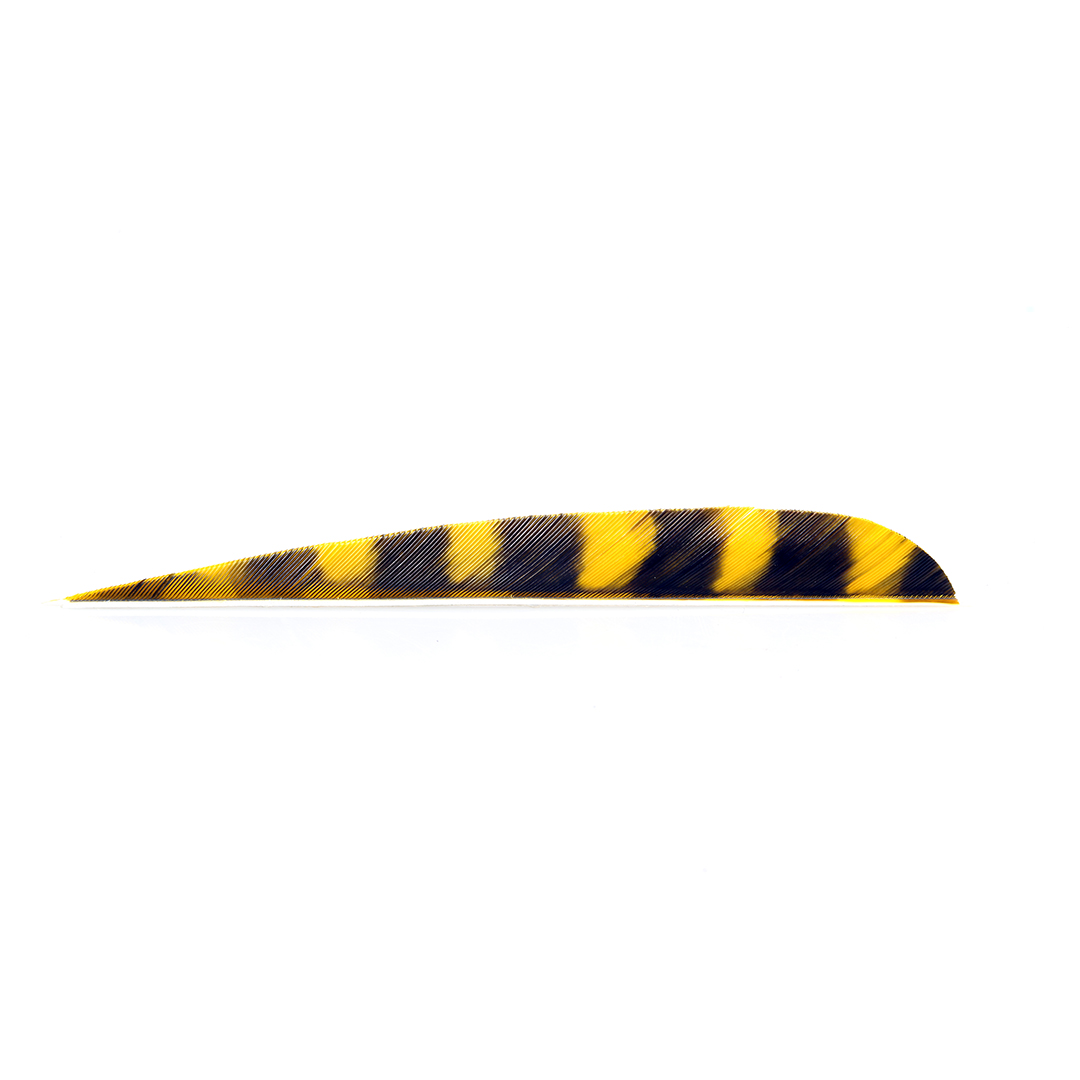 Trueflight Feathers 5" Parabolic Barred
