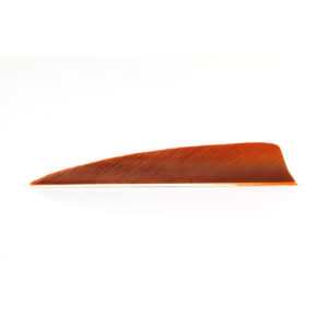 Trueflight Feathers 4" Shield RW