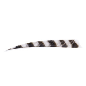 Trueflight Feathers 5" Shield RW Barred