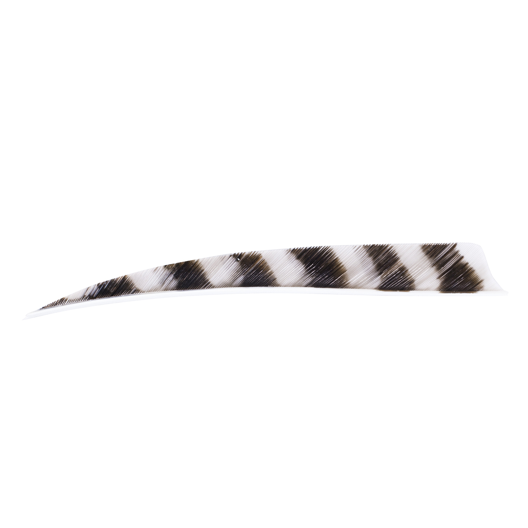 Trueflight Feathers 5" Shield RW Barred