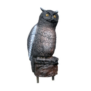 Eleven 3D Target Owl