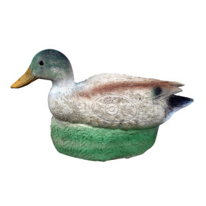 Eleven 3D Target Duck