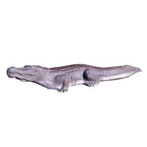 Eleven 3D Target Crocodile Small
