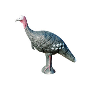 Eleven 3D Target Turkey