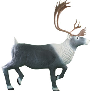 Rinehart 3D Target Caribou IBO (2 boxes)