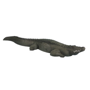 Rinehart 3D Target Alligator IBO