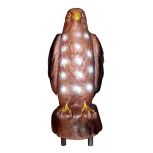 Eleven 3D Target Falcon