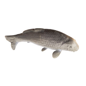 Eleven 3D Target Carp