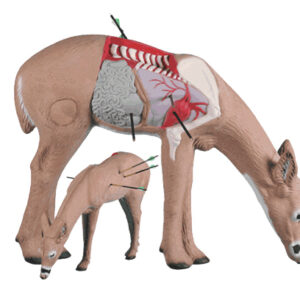 Rinehart 3D Target Anatomy Deer