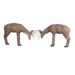Rinehart 3D Target Rubbing Buck IBO