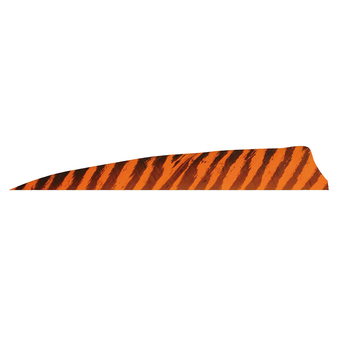 Gateway Feather 4" Shield RW Barred – Bild 9