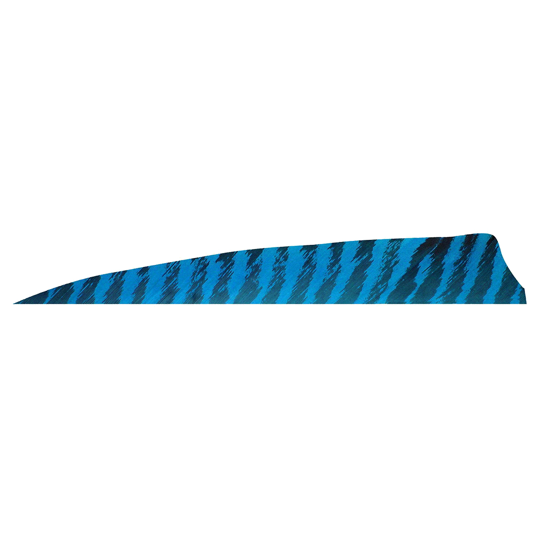 Gateway Feather 4" Shield RW Barred – Bild 7