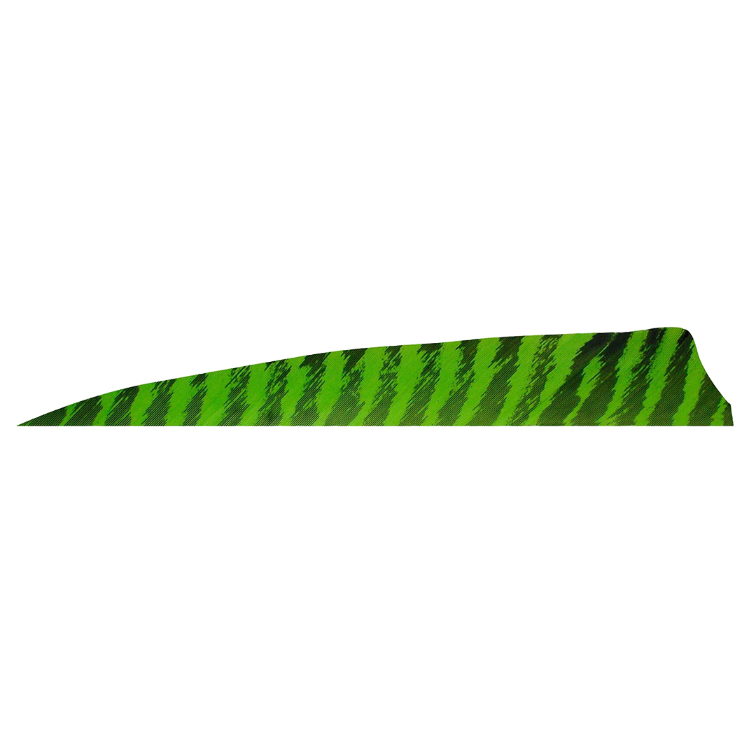 Gateway Feather 4" Shield RW Barred – Bild 8