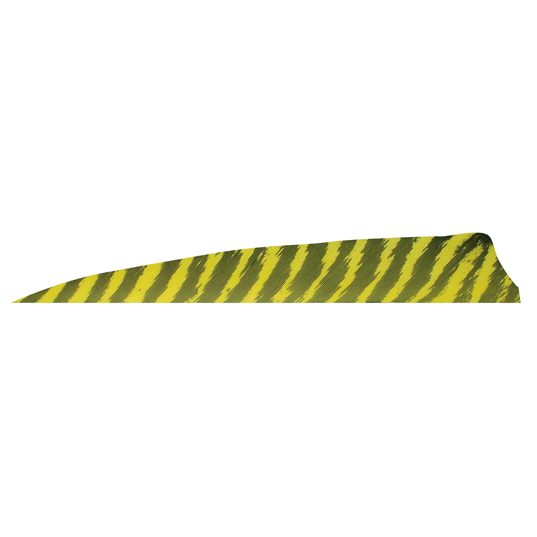 Gateway Feather 4" Shield RW Barred – Bild 3