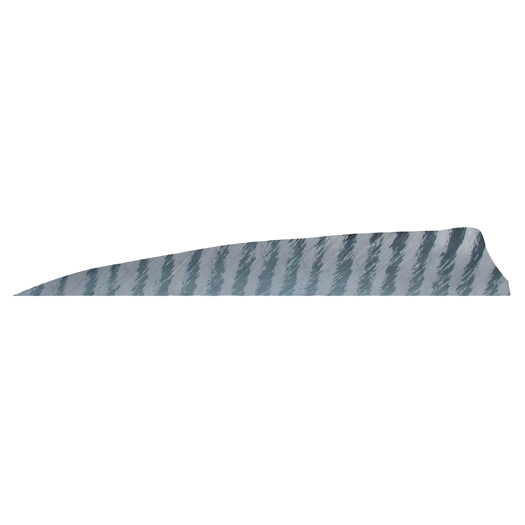 Gateway Feather 4" Shield RW Barred – Bild 2