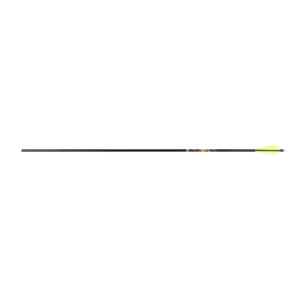 Easton Arrow Aluminum XX75 Tribute (12er Pack)