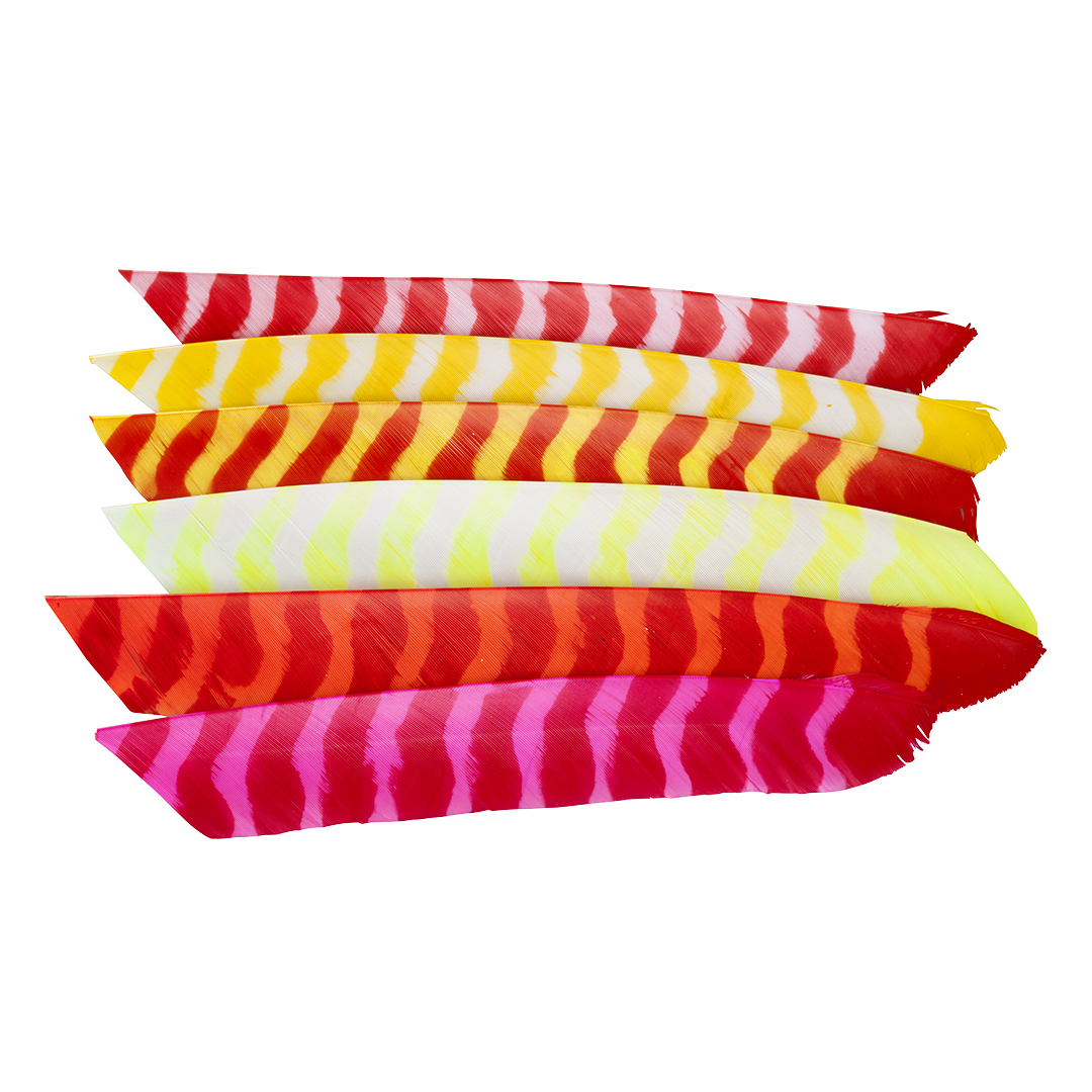 Trueflight Feathers 5" Shield Bright Stripes RW – Bild 2