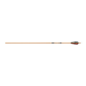 Gold Tip Arrow Carbon Hunting Fletched Traditional .006" (6er Pack)