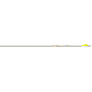 Gold Tip Arrow Carbon Hunting Fletched Velocity Pro with Vanes (12er Pack)