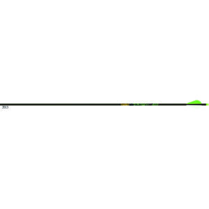 Gold Tip Arrow Carbon Hunting Fletched Velocity XT with 2" Vanes (12er Pack)