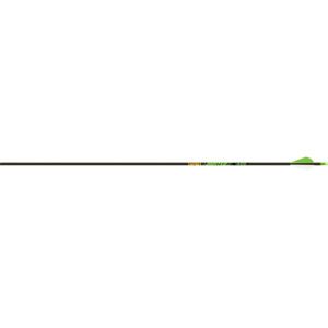 Gold Tip Arrow Carbon Hunting Fletched XT Hunter (12er Pack)