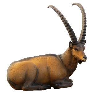 SRT 3D Target Ibex Bedded
