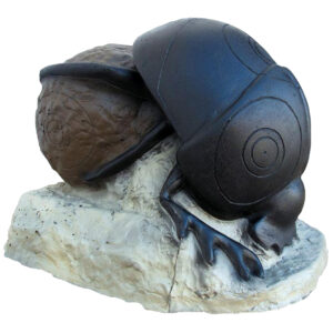 SRT 3D Target Beetle