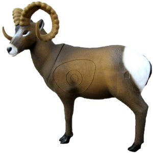 SRT 3D Target Rocky Mountain Sheep