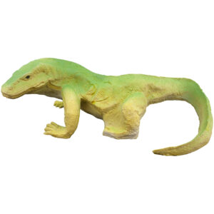 Eleven 3D Target Varanus