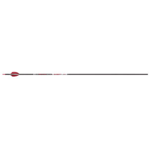 113552-2.jpg