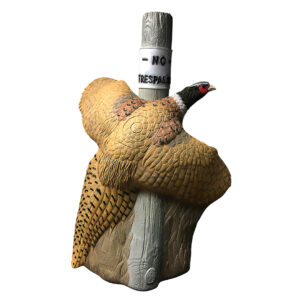 Rinehart 3D Target Pheasant IBO