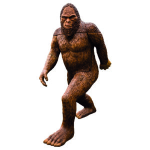 Rinehart 3D Target Sasquatch (7 boxes 1 pallet) IBO