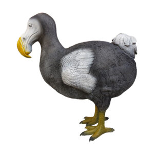 Eleven 3D Target Dodo