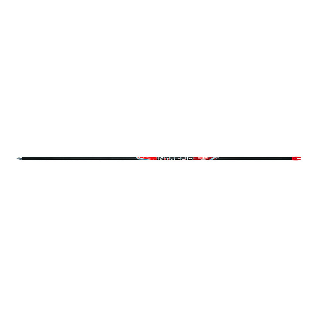 Black Eagle Shaft Carbon Intrepid (12er Pack) – Bild 2