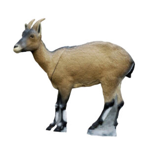 SRT 3D Target Iberian Ibex Female