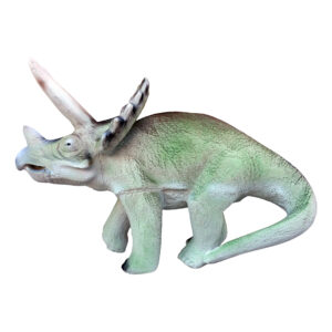 Eleven 3D Target Triceratops
