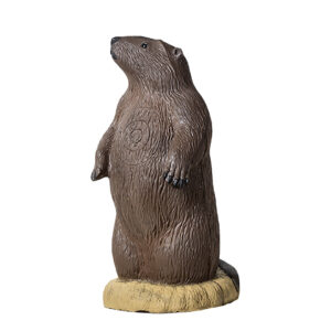 Rinehart 3D Target Signature Groundhog