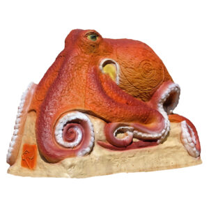 SRT 3D Target Octopus
