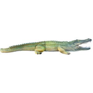 Eleven 3D Target Crocodile with Insert