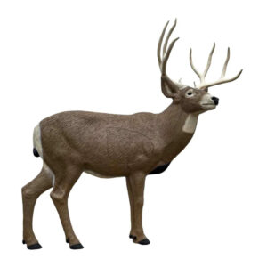 Rinehart 3D Target Semi-Sneak Mule Deer IBO