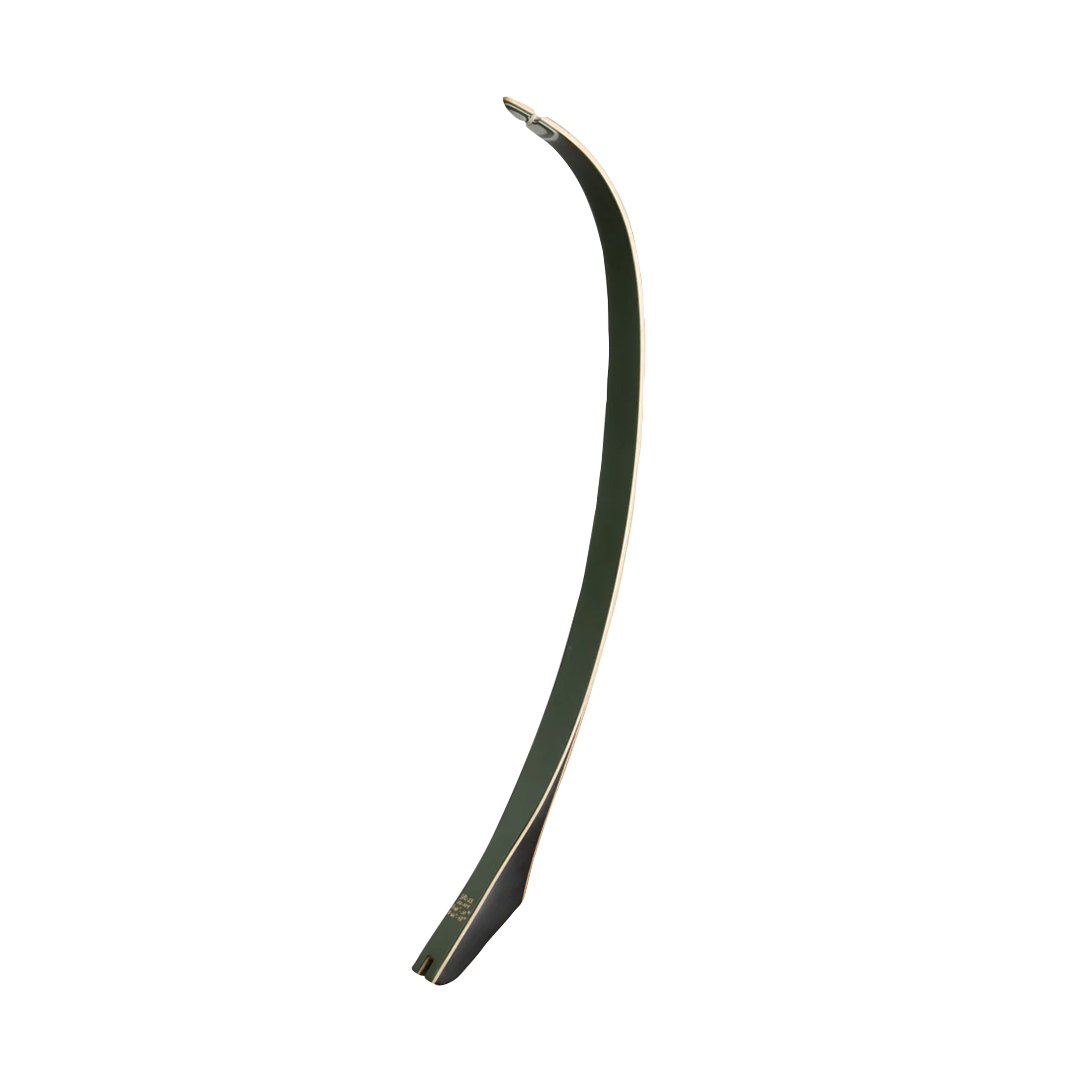 Bear Archery TD Limbs Phenolic with Green Glass – Bild 3