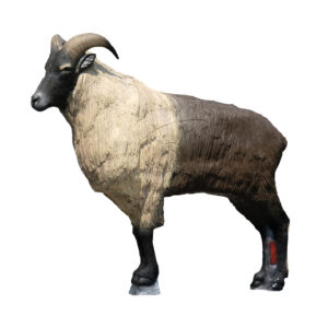 SRT 3D Target Himalayan Tahr