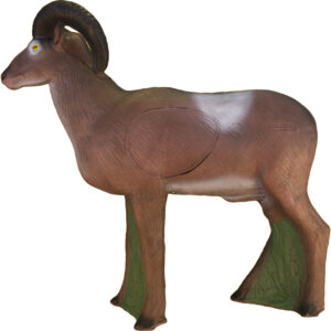 Eleven 3D Target Sheep with Insert