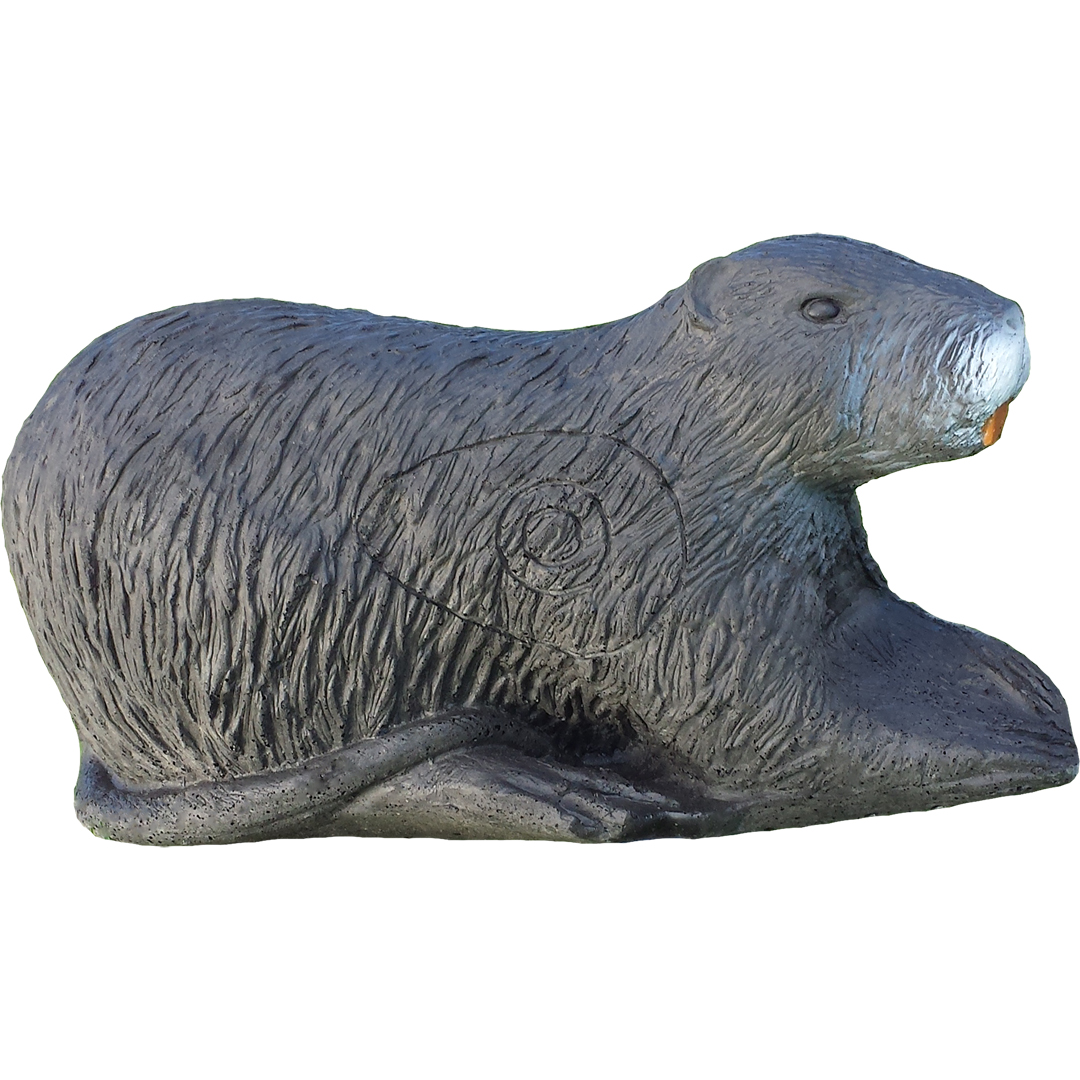 Eleven 3D Target Nutria