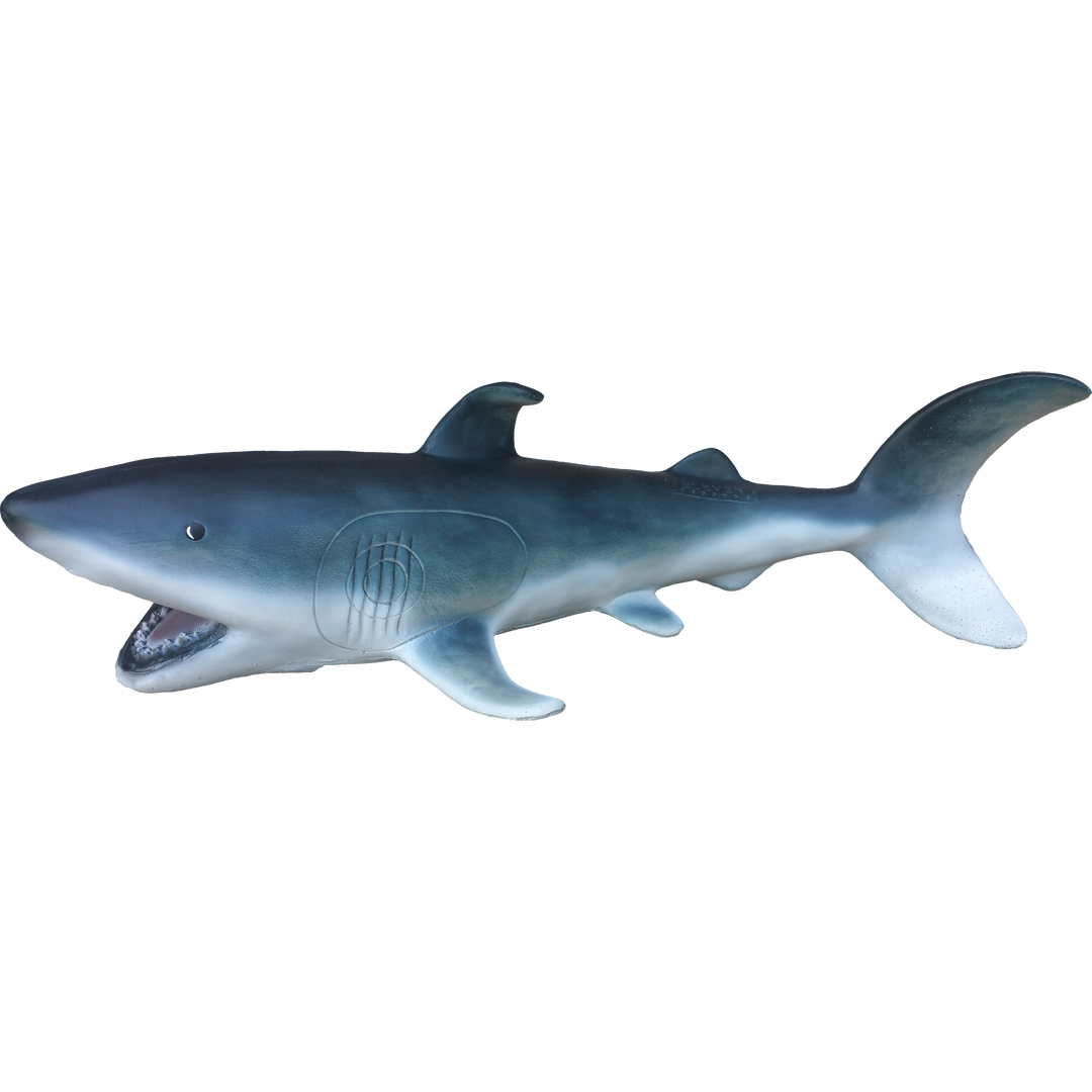 Eleven 3D Target Shark