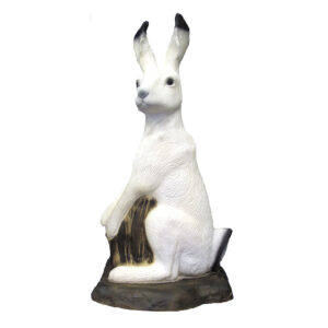 SRT 3D Target Polar Hare with SFC Inside