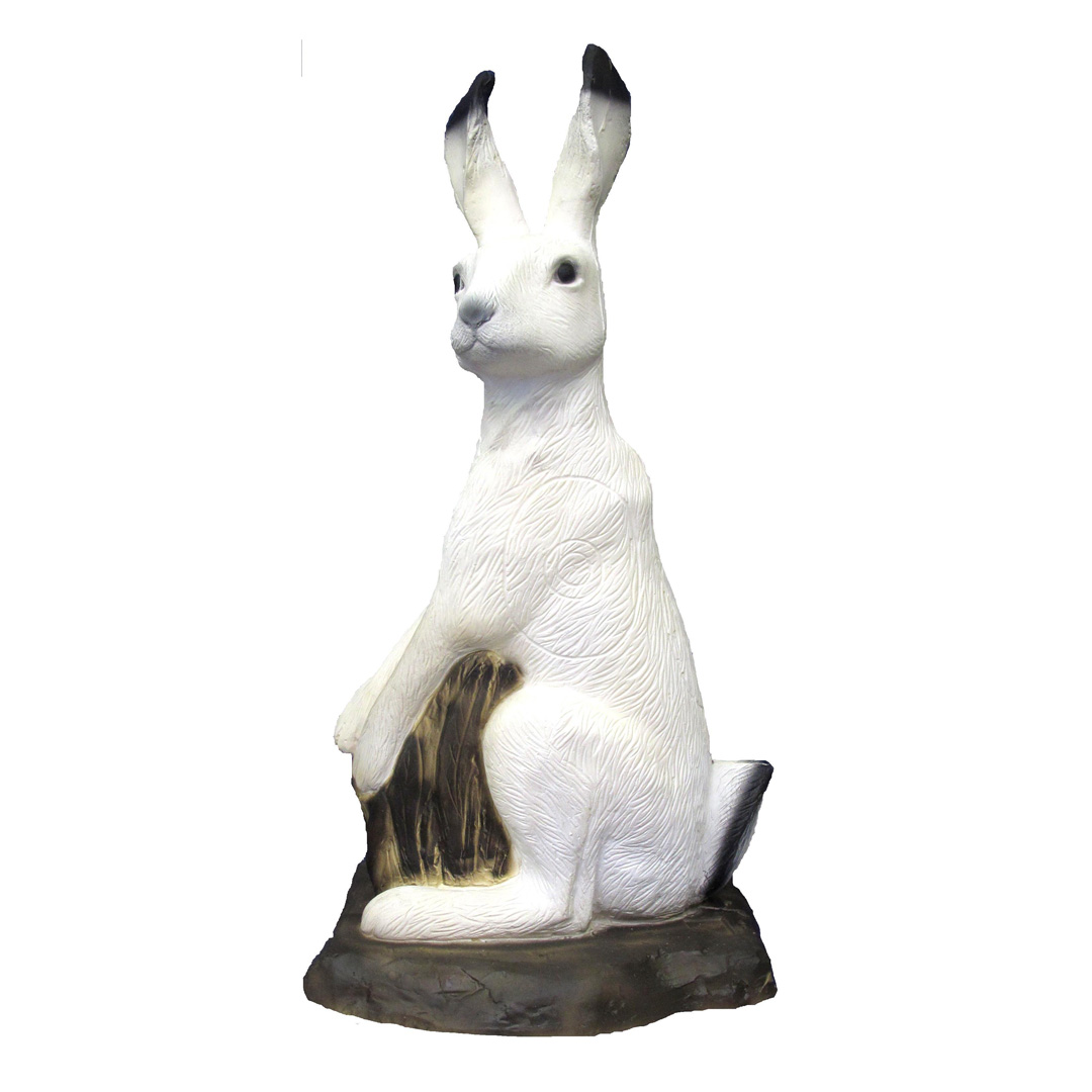 SRT 3D Target Polar Hare with SFC Inside