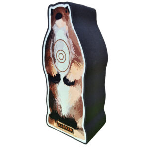 Eleven 2½D Target Whistler